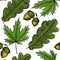 Seamless pattern of sketch maple and oak tree leaves and acorn. Black doodle outline and green colored foliage, yellow