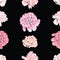 Seamless pattern of sketches pink delicate peonies