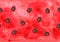 Seamless pattern of slice ripe watermelon with seeds.