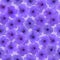 Seamless pattern of small petunia flowers on light purple background