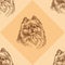 Seamless pattern with small Pomeranian on orange background