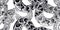 Seamless pattern with Snakes. Black and white