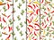 Seamless pattern with sombrero, pepper and cactus. Mexican motif. Vector