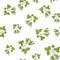 Seamless pattern with soybean