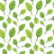 Seamless pattern with spinach leaves