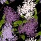 Seamless pattern with spring flowers. Beautiful decorative natural plants, lilac branch with leaves.