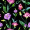 Seamless pattern of spring flowers of eustoma lisianthus on a black background