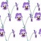 Seamless pattern with spring flowers.  Viola on white background.