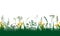 Seamless pattern of spring grassland dandelions, plants and other weeds, isolated. Vector illustration