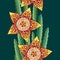 Seamless pattern with Stapelia flowers and stems. Genus of low-growing stem succulent plants. Series of different succulents