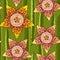 Seamless pattern with Stapelia. Genus of low-growing stem succulent plants. Series of different succulents