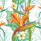 Seamless pattern with Strelitzia on white