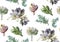 Seamless pattern: Succulent flower plant watercolor hand drawn b