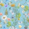 Seamless pattern of summer wildflowers