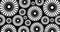 Seamless pattern with sun flowers black and white 4k footage clip