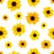 Seamless pattern with sunflowers. Vector illustration.