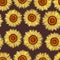 Seamless pattern of sunflowers.watercolor flower pattern hand drawing for postcards,wrapping paper,textiles