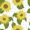 Seamless pattern with sunflowers on white background with polka dot. Flowers, buds and leaf. Vector backdrop with yellow flower