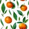 Seamless pattern of tangerines or mandarins or clementines with leaves and slices. citrus pattern on white background