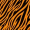 Seamless pattern with tiger stripes.