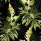 Seamless pattern with traditional home plant leaves and branches, monstera, palm. Tropical texture on black bckground.