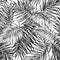 Seamless pattern tropic jungle leaves black white