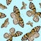 Seamless pattern of tropical butterflies isolated on blue background