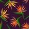 Seamless pattern with tropical, exotic strelitzia, bird of paradise