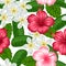 Seamless pattern with tropical flowers hibiscus and plumeria. Background made without clipping mask. Easy to use