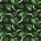 Seamless pattern of tropical green areca leaf, natural vector