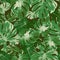 Seamless pattern of tropical green monstera leaf, natural vector