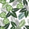 Seamless pattern with tropical leaves: alocasia, palms, monstera, jungle leaf seamless vector pattern white background. Swimwear