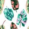 Seamless pattern Tropical leaves diffenbachia collection. Vector isolated elements on the white background. Leaf exotic motley