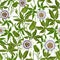 Seamless pattern with tropical passion flowers