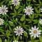 Seamless pattern with tropical passion flowers