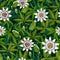 Seamless pattern with tropical passion flowers