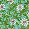 Seamless pattern with tropical passion flowers