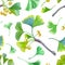 Seamless pattern of twigs, berries and ginkgo leaves on a white background