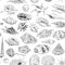 Seamless pattern Unique museum collection of sea shells rare endangered species, molluscs Gastropoda Bivalvia Venus comb murex Tri