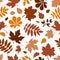Seamless pattern with various brown autumn leaves on white. Vector illustration.