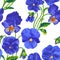 Seamless pattern with vector blue Pansies.