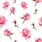 Seamless pattern vector floral watercolor style design, pink roses bud. Rustic romantic background print.