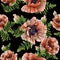 Seamless pattern of vector poppies. Black background.