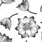 Seamless pattern with vector realistic lotus flowers