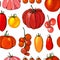 Seamless pattern with vegetables on white. Various sorts of tomato