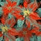 Seamless pattern with vibrant Poinsettias