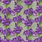 Seamless pattern from vintage spring purple crocuses
