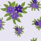 Seamless pattern with violet clematis. Vector