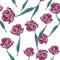 Seamless pattern of a violet Tulip flowers.