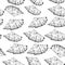 Seamless pattern Volutidae, common name volutes, are a taxonomic family of predatory sea snails Unique shells, molluscs. Sketch